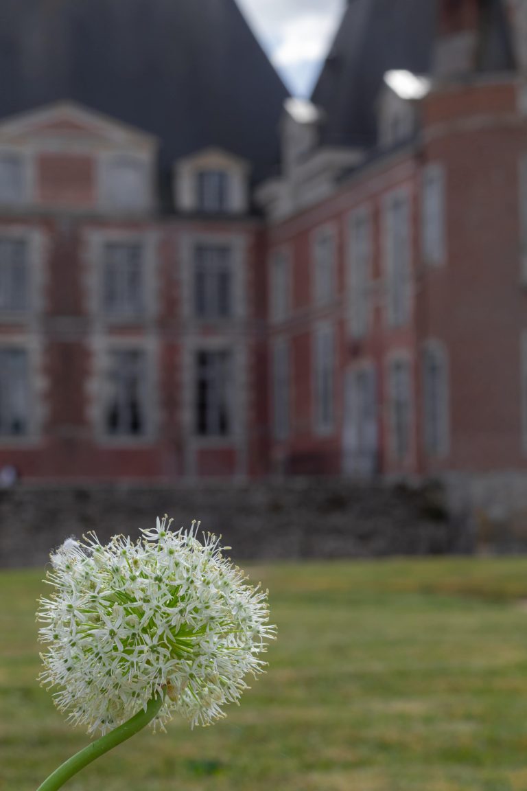 Photographe Loiret Mariage Chateau de la Buissiere