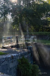 IMG_1641