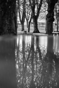 IMG_2080