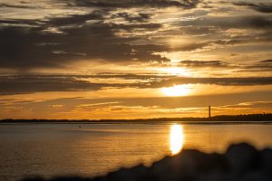 IMG_2914