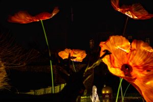 IMG_7001-Avec accentuation-Bruit