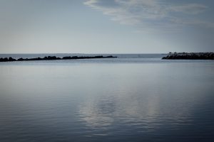 IMG_8553