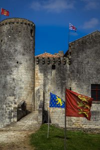 IMG_8655